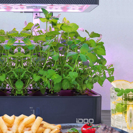 iDOO Replacement Hydroponic Growing Accessories, 12 Grow Sponges, 12 Basket Sets, 12 Label Cards, 12 Domes and A &amp; B Solid Nutrient for Hydroponic Growing System