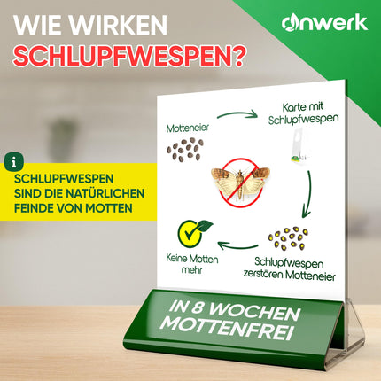 anwerk® Parasitic Wasps against Food Moths - 4 cards per 1 delivery - Effectively combat food moths - Alternative to moth traps, moth sprays, and pheromone traps (4 cards per 1 delivery)