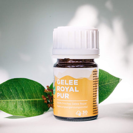 AKTIV NATURHEILMITTEL Pure Royal Jelly | 30g | High-quality royal jelly (bee's milk) | Delivered chilled