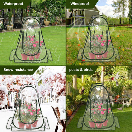 Tesmotor tomato greenhouse for tomatoes, vegetables, plants, small greenhouse overwintering tent for cold frame, vegetables, flowers 70x70x80CM