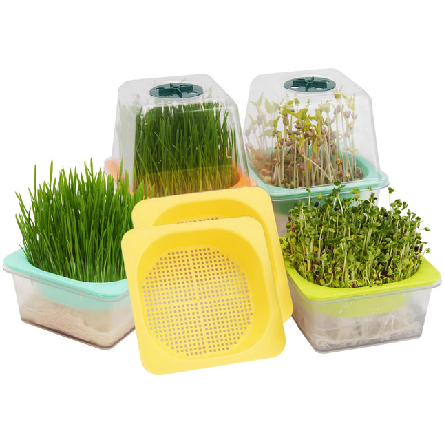 Set of 6 transparent microgreen trays with plastic humidity dome, BPA-free germination tray, reusable seed tray for planting cat grass, broccoli, bean sprouts and much more