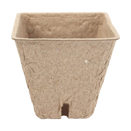 Schramm® Growing Pots 20, 60 or 100 pieces made of cellulose Height: 5.5 cm biodegradable Plant Pot Plant Pots, Quantity: 100 pieces