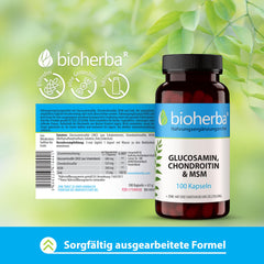 Glucosamine Chondroitin MSM + Zinc – 100 capsules with zinc for normal bone function and cell protection from BIOHERBA PZN 17190938