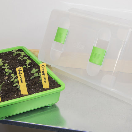 Romberg Greenhouse M (Indoor Greenhouse) - 38 x 24 x 19 cm, with ventilation, shatter-proof lid, very stable, multicolored