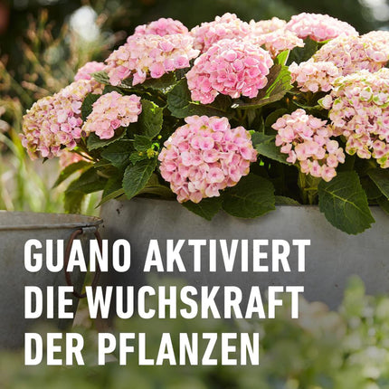 Compo Balcony and Pot Plant Fertilizer Sticks with Guano