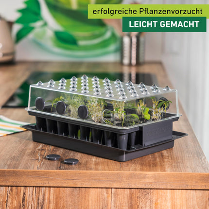 Windhager RootXtender Root Trainer, Indoor Greenhouse for 40 Plants, Root School Seed Tray, Root Trainer Seed Box for Best Root Formation