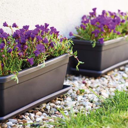 VENEZIA PLANT BOX 50CM ANTHRACITE