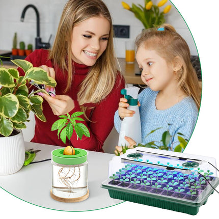 Greenhouse, 3PCS Growing Pots Growing Soil Greenhouse Small Growing Set Indoor Greenhouse 120 Cells Greenhouse Growing Set Grow Box With Plant Lamp For Plant Growth And Seed Germination