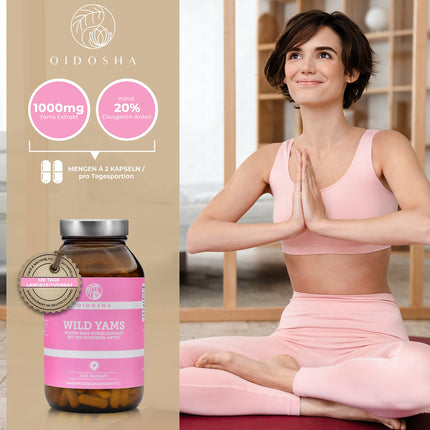 QIDOSHA® Wild Yam Root Extract, 240 pcs/jar, 1000mg Wild Yam Root Extract with 200mg Diosgenin per daily serving, Mexican Wild Yam Capsules with high dosage, vegan, made in Germany