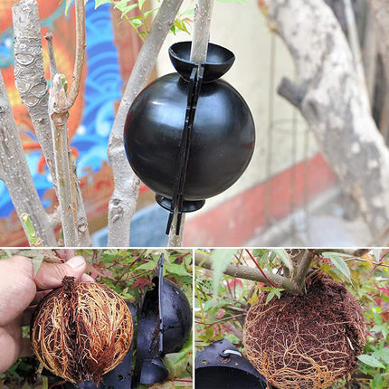 Plant Rooting Device Box Plant Root Booster Propagators Gardening High Pressure Propagation Ball Box Reusable Growing Grafting For Garden Grafting Root Formation, 12 Pieces1