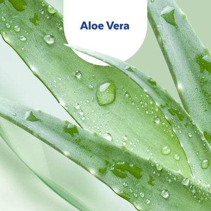 Sagrotan Hand Disinfectant Gel with Aloe Vera – Hand disinfectant in a practical travel size – 1 x 50 ml