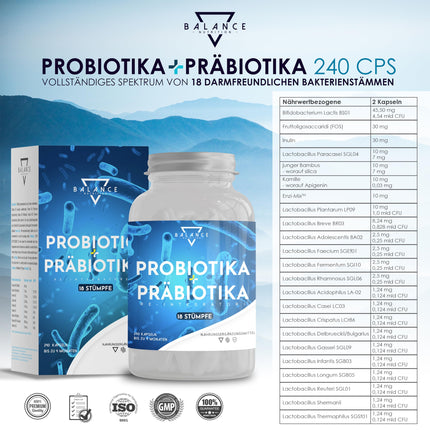 PROBIOTICS AND PREBIOTICS - 240 CAPSULES | Probiotics for intestinal cleansing | Probiotic capsules | Prebiotics, digestive enzymes + inulin | Intestinal flora building | Up to 20 billion CFU