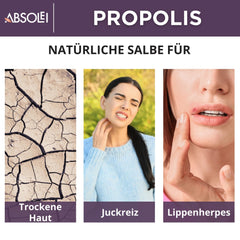 Absolei Propolis Ointment, Natural 30% Propolis Ointment for Itchy, Dry, and Cracked Skin, 40 ml