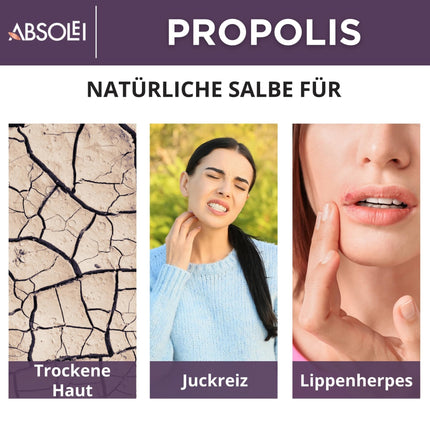 Absolei Propolis Ointment, Natural 30% Propolis Ointment for Itchy, Dry, and Cracked Skin, 40 ml