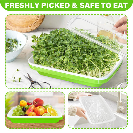 YODITI sprouting trays for sprouts cress cultivation trays: 6PCS Seed Sprouter Tray germination tray sprouts with lid for hydroponic large seed germination tray germination box for growing mung beans wheatgrass