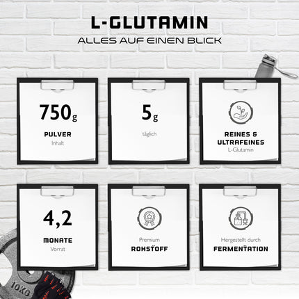 L-Glutamine Powder - 750 g - Premium: Pure &amp; ultrafine L-Glutamine - 100% micronized L-Glutamine amino acid - Unflavored Neutral - Laboratory tested - High dosage - Vegan