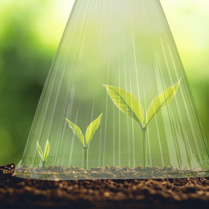 Relaxdays Plant Hat Set of 24, Planting Aid, Plant Protection from Frost, Snails &amp; Birds, PVC, Plant Cover, Green 10026432