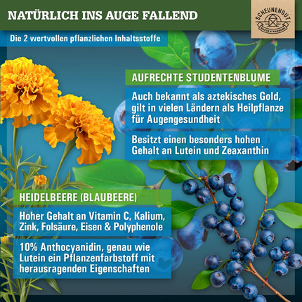 ADLERAUGE® Eye Vitamins High Dose - IMPORTANT: Laboratory-tested brand complex with lutein, zeaxanthin, blueberry extract, beta-carotene, vitamins A+B &amp; more | 120 pcs -DE- SCHEUNENGUT®