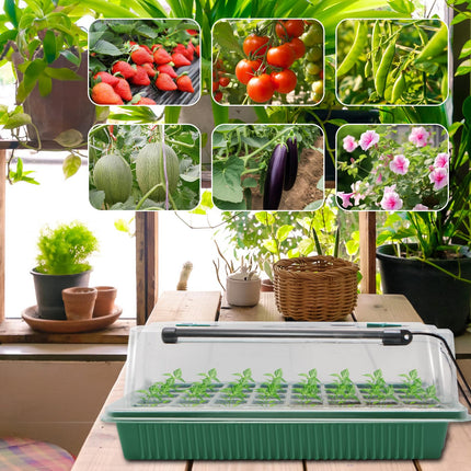 MQFORU 2 Packs Indoor Greenhouse Propagator with Plant Lamp, 80 Cells Mini Greenhouse Propagation Set with Timing Controller Adjustable Brightness, for Plant Growth and Seed Germination