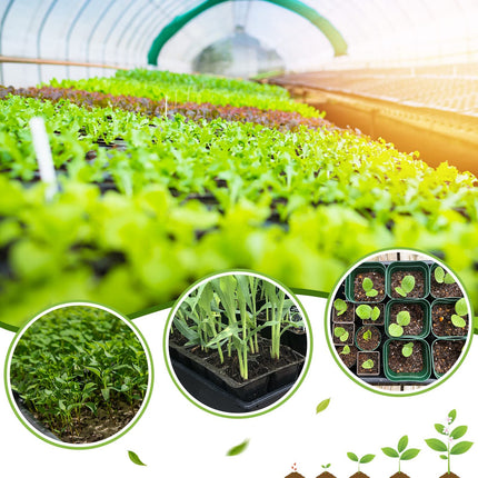 Getervb 5 pieces growing plate plant growing tray plastic planting tray greenhouse growing tray for garden balcony vegetables fruit seeds plant germination