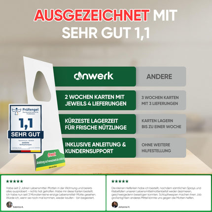 anwerk® Parasitic Wasps against Food Moths - 8 Cards (2 cards with 4 deliveries) - Effectively combat food moths - Alternative to moth traps, moth sprays, and pheromone traps