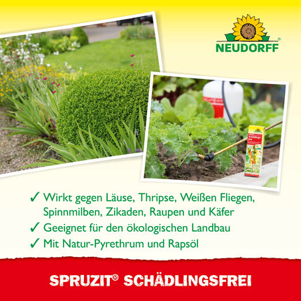 Neudorff Spruzit Pest-Free – Concentrate combats pests such as box tree moths, aphids, and thrips on ornamental plants, vegetables, and herbs, 250 ml
