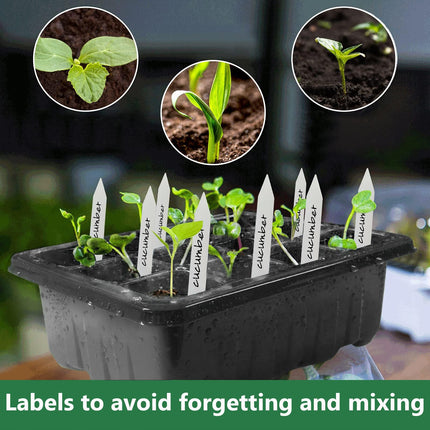 Fox Bunny Propagator, 3 Pack 36 Cell Indoor Greenhouse Propagator, Plant Growing Set with Lid and Ventilation for Seedling Plant, Black