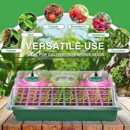 YAUNGEL Indoor Greenhouse with Plant Lamp, 2 Pack XL Growing Set Mini Greenhouse with Timing Controller Adjustable Brightness, Thickened Greenhouse with Lid and Ventilation, Green