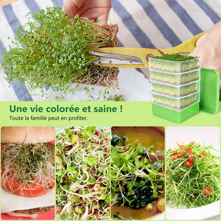 WYWY.Wide Seed Germination Kit, 4-Tier Bean Sprouting Kit, Stackable Microorganism Culture Trays for Beans, Alfalfa, and Wheatgrass