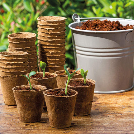 Romberg 10091100 Coconut Grow Pots (Plant Pots) Classic - 6 cm, round, peat-free, biodegradable, 26 pieces