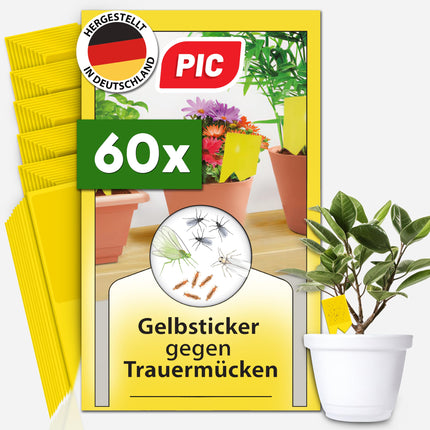 PIC Yellow Stickers for Fungus Gnats - 60x yellow stickers against fungus gnats, effective yellow trap for fungus gnats and against small flies in potting soil, alternative to nematodes against fungus gnats