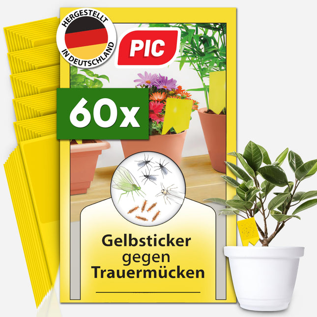 PIC Yellow Stickers for Fungus Gnats - 60x yellow stickers against fungus gnats, effective yellow trap for fungus gnats and against small flies in potting soil, alternative to nematodes against fungus gnats