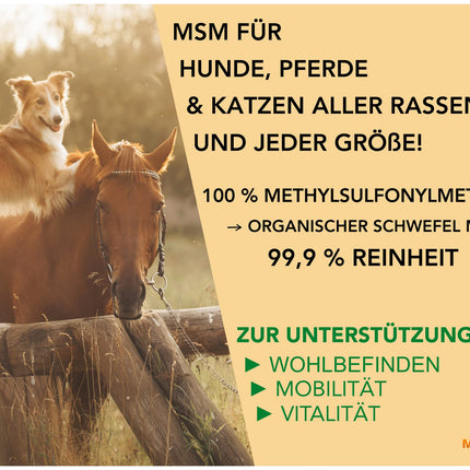 Mahu Natur 1 kg MSM Horse and MSM Dog High Dose - Methylsulfonylmethane (Organic Sulfur) - High Dose and High Purity - MSM Powder 1000g