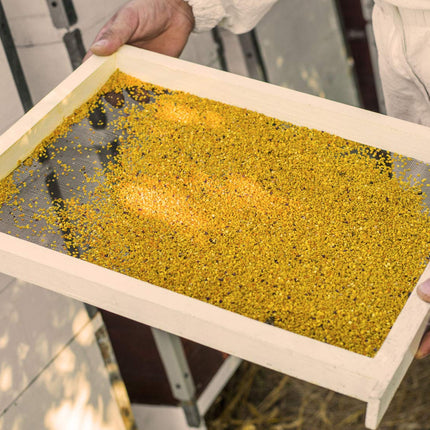 Flower pollen/bee pollen in premium beekeeping quality, from ImkerPur, 500 g, completely residue-free, sweet and mild, (Conventional, 500 g)