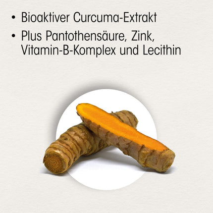 Dr. Böhm Memory Active Direct Sticks: For memory, recall, and mental performance with turmeric extract, B vitamins, zinc, and lecithin complex, 20 sticks