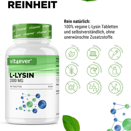 L-Lysine - 365 Tablets - High Dose with 2000 mg L-Lysine HCL per day - From Plant Fermentation - No Additives - Vegan