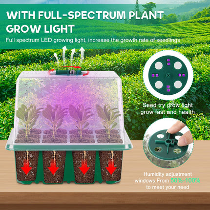 Indoor greenhouse cultivation box, 5 pieces mini greenhouse cultivation with plant lamp, greenhouse with full spectrum lid and ventilation, ideal for plant growth