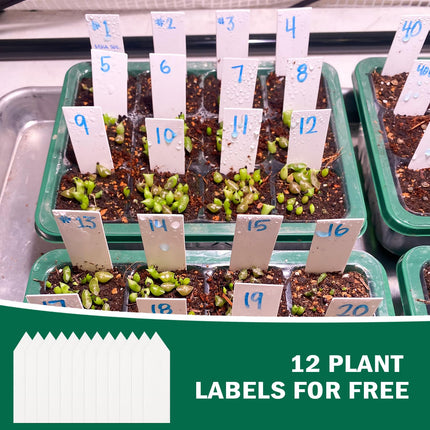 New time-controlled 5-piece mini greenhouse cultivation kit, with timing controller, adjustable brightness, full spectrum, indoor greenhouse cultivation box with lid and ventilation, 12 labels, 2 tools