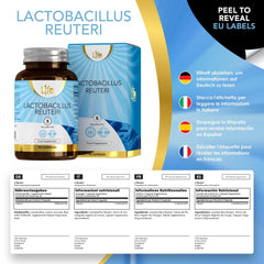 LN Lactobacillus Reuteri | 90 Probiotic Lactobacillus Reuteri Capsules – 5 Billion CBU L-Reuteri per Serving | High-Dose L-Reuteri Supplement | GMO-, Gluten-, and Allergen-Free
