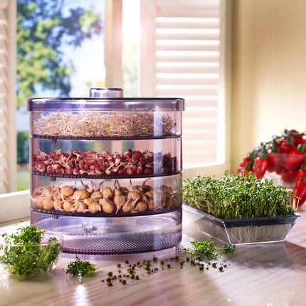 Dehner Sprout House, for growing sprouts, with 4 trays