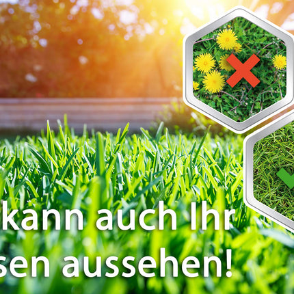 Roundup Lawn Weed Killer - 500 ml