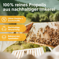 beegut ORGANIC Propolis Drops liquid without alcohol, 50ml water-soluble tincture with ORGANIC Propolis extract, standardized quality, sustainable packaging (50ml)