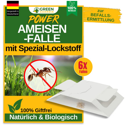 GREEN GUARDIA ant trap with special attractant – 6 traps – for discreet and environmentally friendly monitoring of ant activity. Chemical-free, odorless, and with a strong adhesive surface.