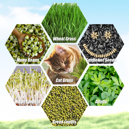 CYEER 8 Pack Sprouting Trays, 34x25x11CM Cress Seed Trays, Microgreens Seed Trays, Sprouting Tray, Sprouting Kit for Growing Mung Beans, Alfalfa, Wheatgrass