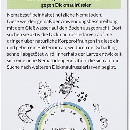nemabest® HB nematodes for controlling the black vine weevil - against insects, 10 million for 20m²