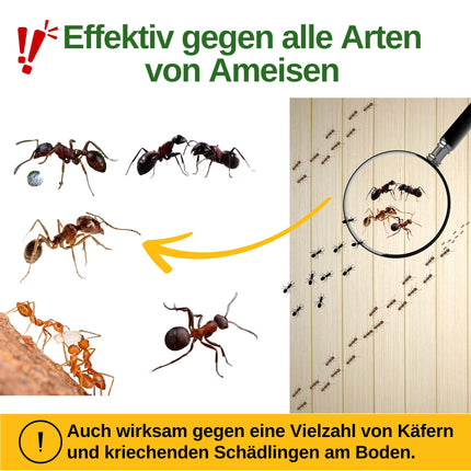 GREEN GUARDIA ant trap with special attractant - 6x ant traps - environmentally friendly ant control, chemical-free trap with strong adhesive surface, non-toxic &amp; odorless