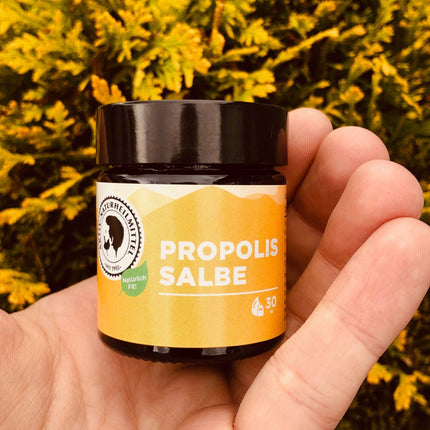 Active Natural Remedies Propolis Ointment 30g | Cream/Ointment is pure, high-quality &amp; from Germany