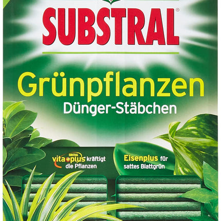 Substral Fertilizer Sticks for Green Plants with Iron Plus and 2 Months Long-Term Effect, 60 Sticks, Green