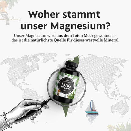 High-dose magnesium capsules - 365 capsules (year's supply) - 664mg per capsule, including 400mg elemental magnesium - higher content than other forms of magnesium - Laboratory-tested &amp; vegan