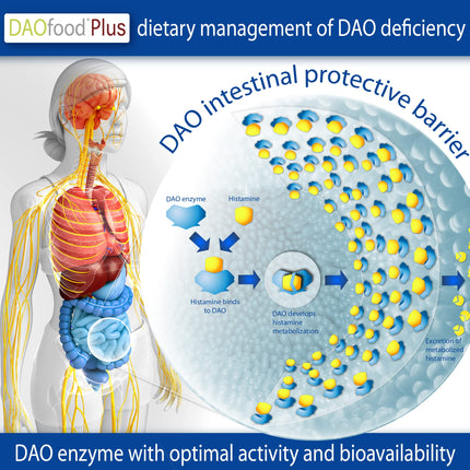 DR Healthcare Plus - Food Supplement DAO Deficiency/Histamine Intolerance - 60 Efficient, Easily Digestible Enteric-Coated Capsules - Digestive Enzymes - DAO Enzyme, Quercetin and Vitamin C.